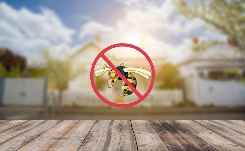 Preventing Wasps From Nesting on Commercial Properties in Waterloo