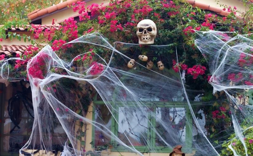 Guelph Pest Control Protecting Your Halloween Decorations From Spiders