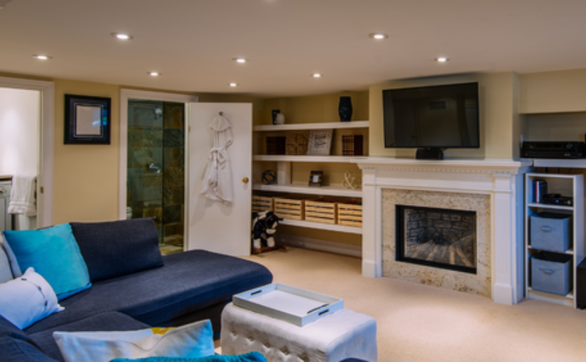 Prevent Mice in the Basement