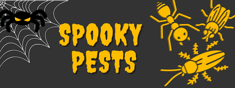 Spooky Pests