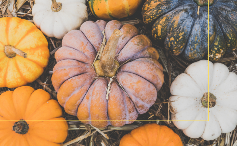 Why Pests Love Your Pumpkins!