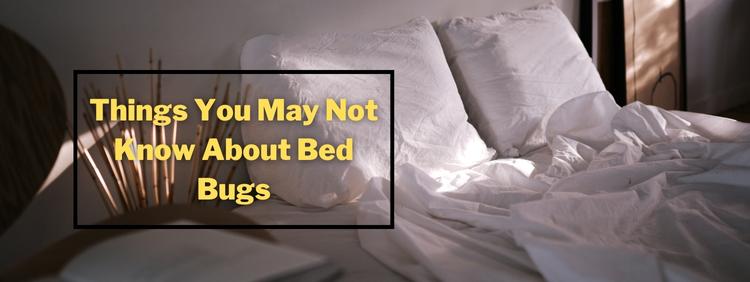 Waterloo Pest Control 4 Things You May Not Have Known About Bed Bugs