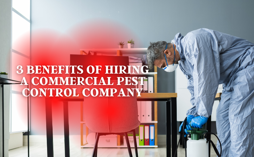 3 Benefits of Hiring a Commercial Pest Control Company in Kitchener