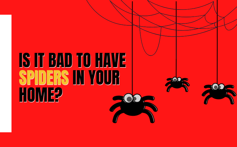 Spiders: Beneficial Helpers or Annoying Pests?