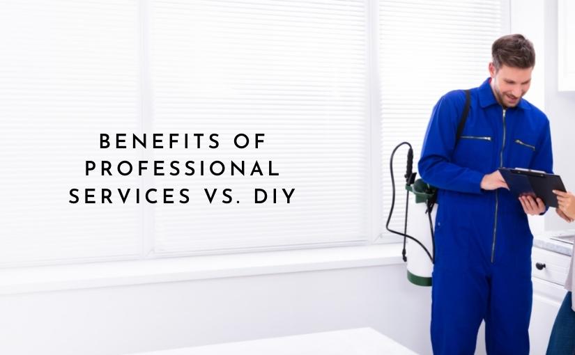 Brant County Pest Control Benefits of Professional Services vs. DIY