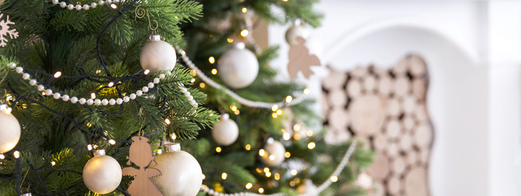 Toronto Pest Removal: Make Sure Your Christmas Tree is Ant Free