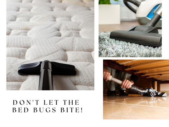 Guelph Pest Removal: Don't Let the Bed Bugs Bite!