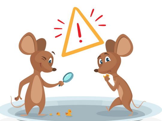 Kitchener Pest Removal: Why Do Mice Avoid Traps? - Truly Nolen Pest ...