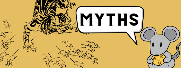 Debunking 4 Myths About Mice