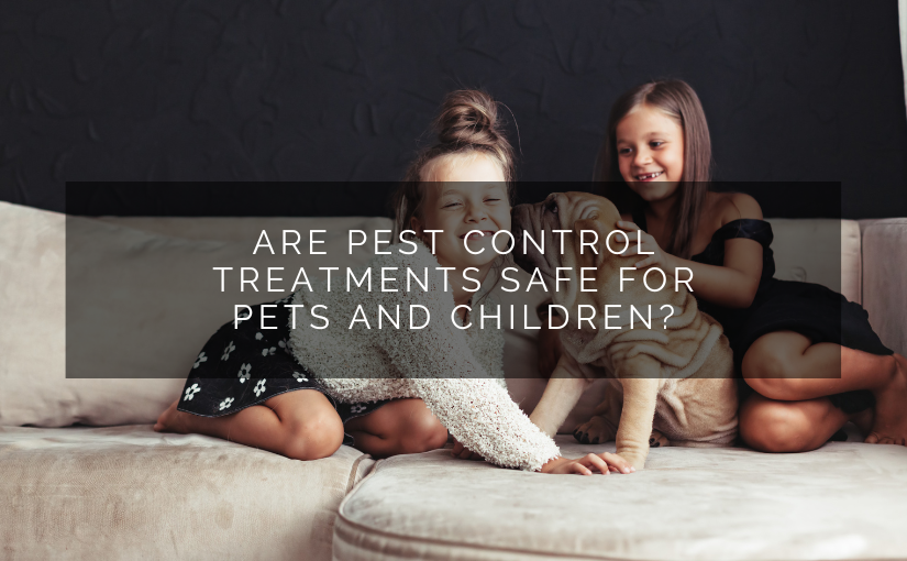 Are Pest Control Treatments Safe for Pets and Children