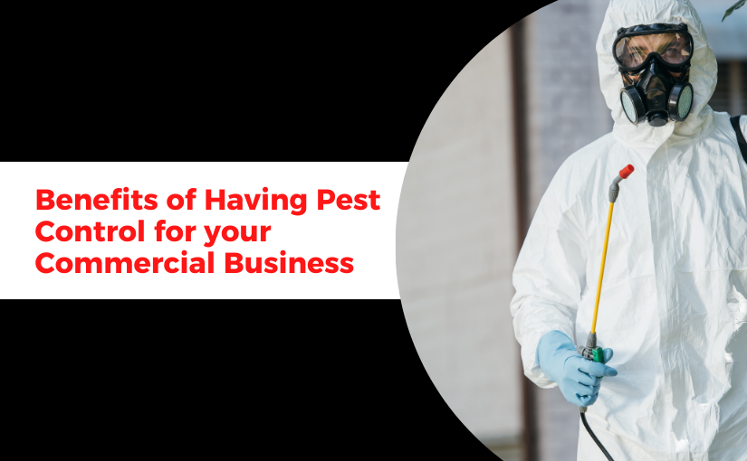 Benefits of Having Pest Control for your Commercial Business