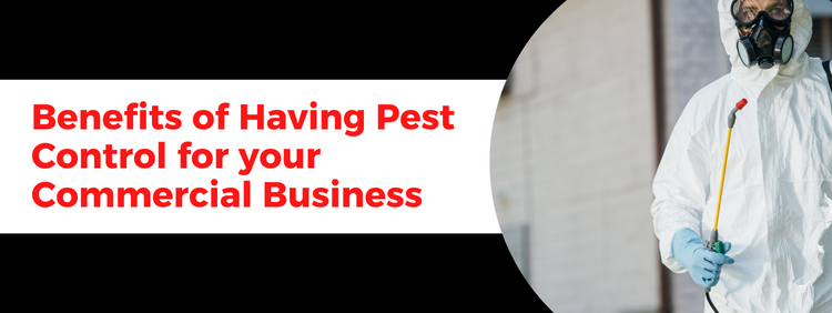 Benefits of Having Pest Control for your Commercial Business