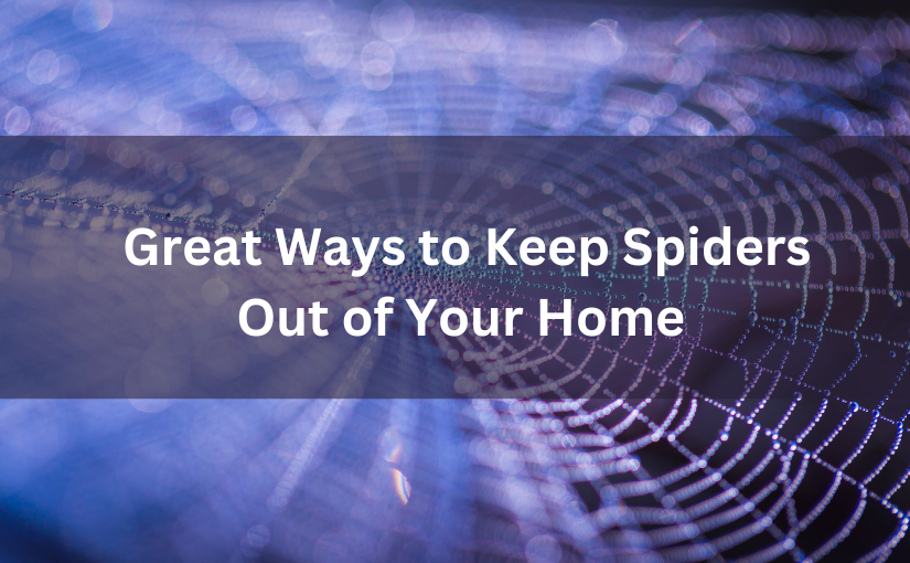 Great Ways to Keep Spiders Out of Your Home in YorkGreat Ways to Keep Spiders Out of Your Home in York