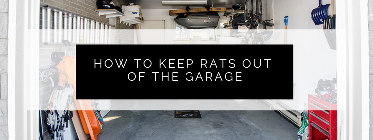 How to Keep Rats Out of the Garage