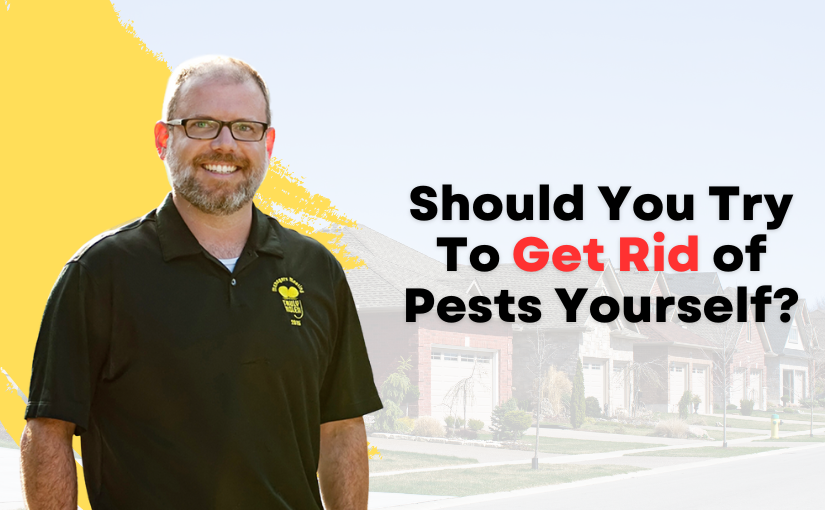 Hamilton Pest Control: Should You Try To Get Rid of Pests Yourself?