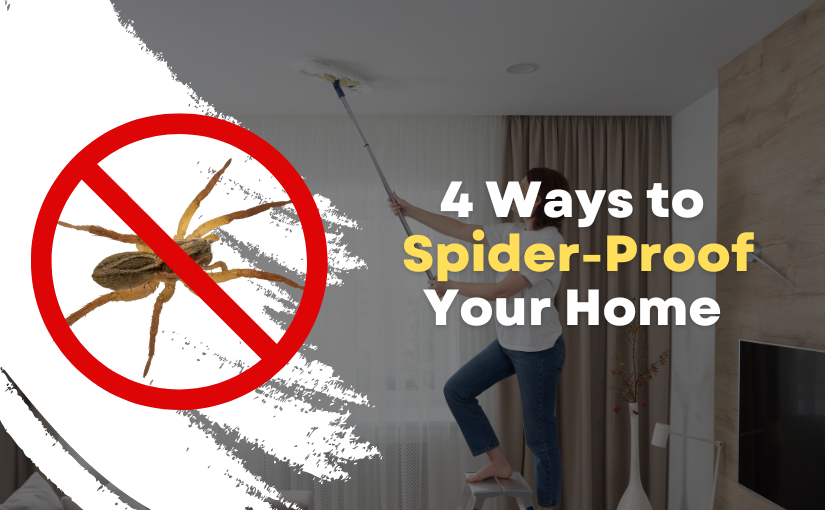 4 Ways to Spider-Proof Your Brampton Home