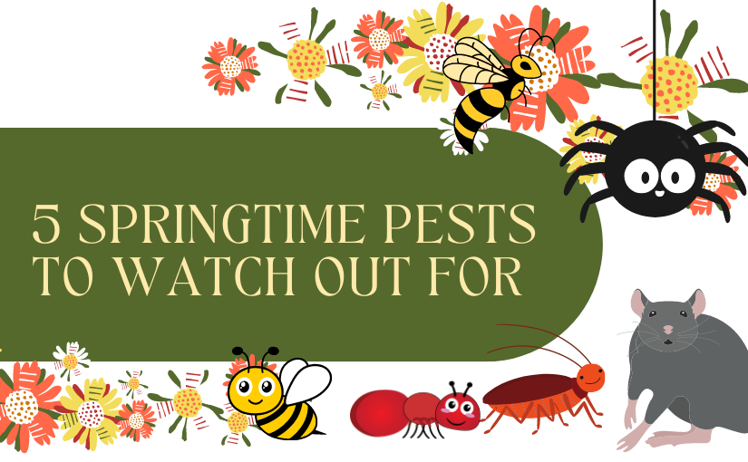 5 Springtime Pests To Watch Out For