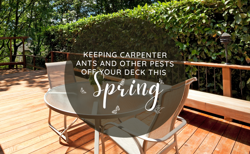 Keeping Carpenter Ants and Other Pests Off Your Deck This Spring