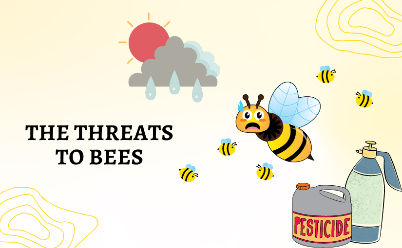 threats to bees