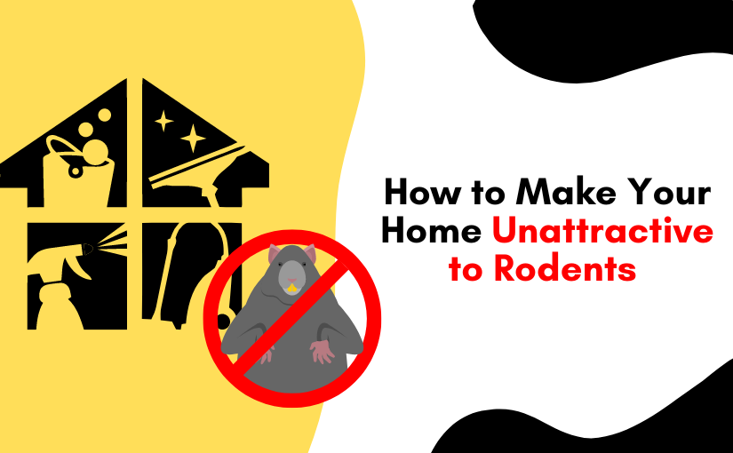 Toronto Mice Removal: How To Make Your Home Unattractive to Rodents