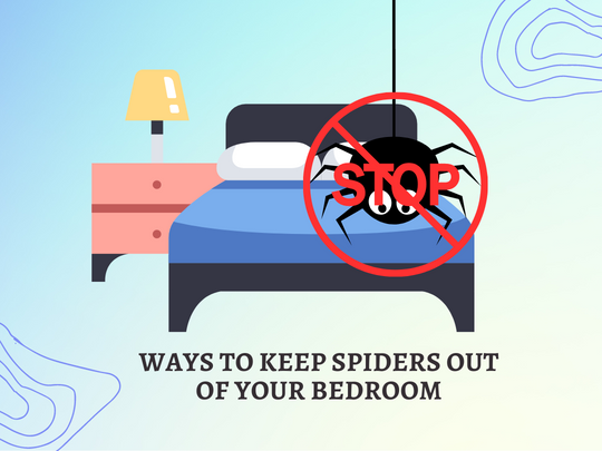 Niagara Pest Removal: 3 Ways to Keep Spiders Out Your Bedroom