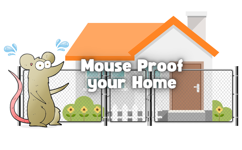 How to Mouse-Proof Your Toronto Home