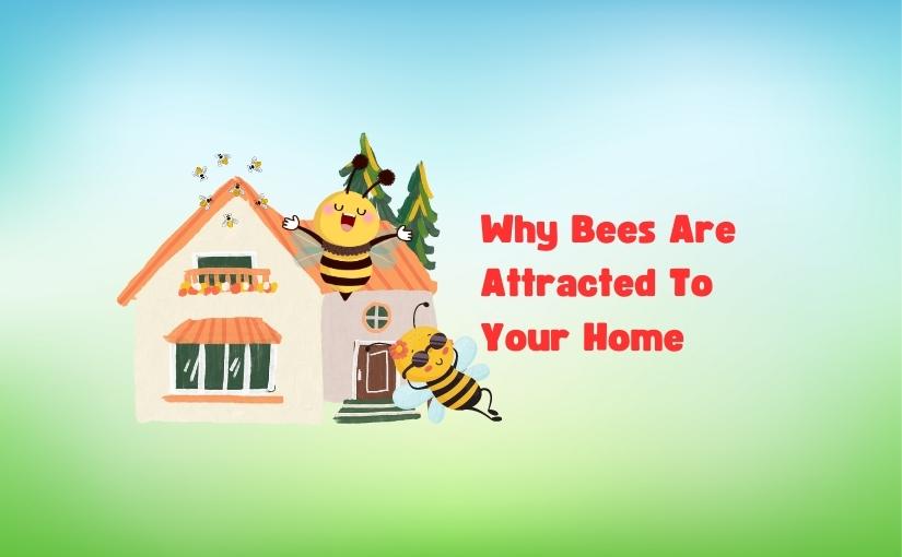 York Pest Control Why Bees Are Attracted To Your Home