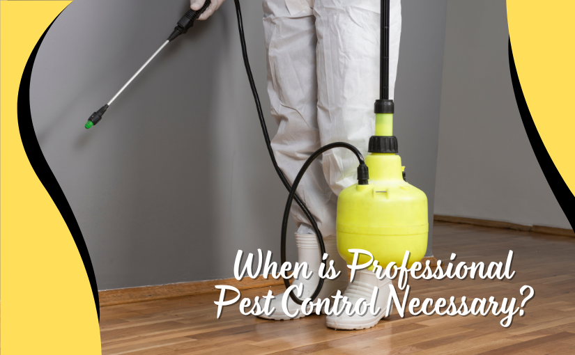 When is Professional Pest Control Necessary?