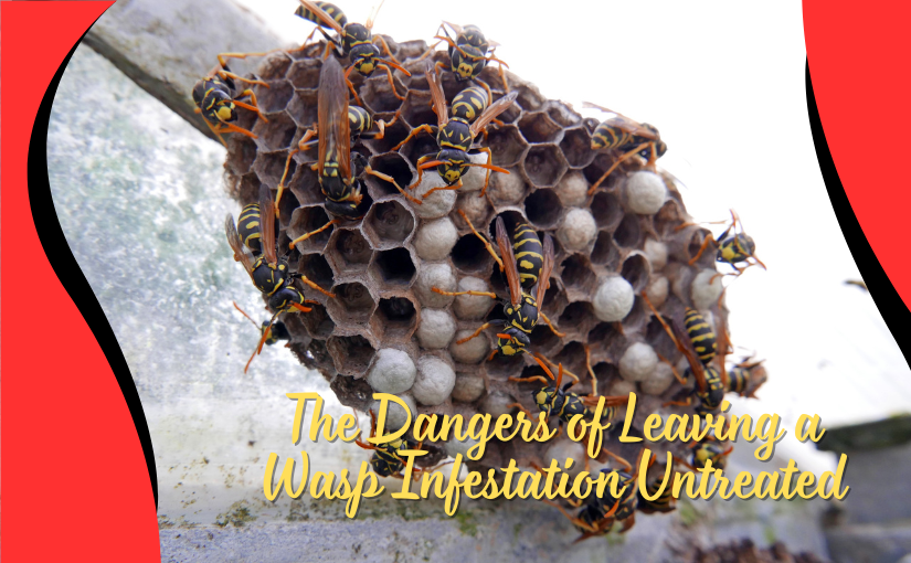 The Dangers of Leaving a Wasp Infestation Untreated