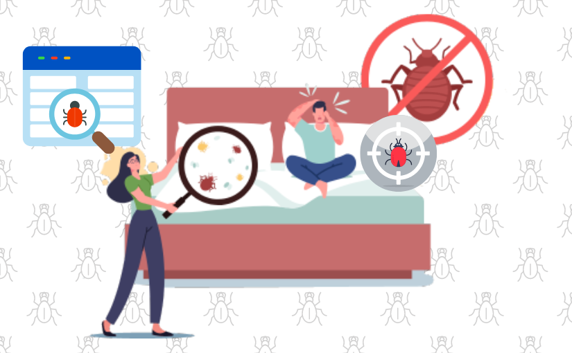 Everything You Need to Know About Bed Bug Bites