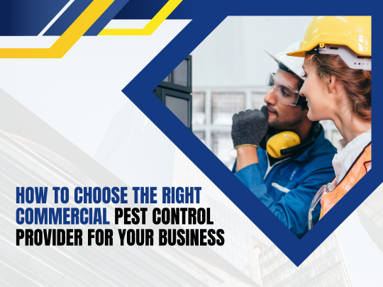 How to choose the right commercial pest control provider for your business.