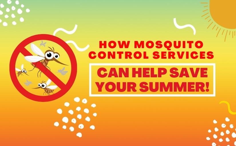 How Mosquito Control Services Can Help Save Your Summer