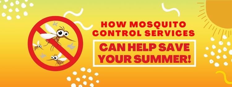 How Mosquito Control Services Can Help Save Your Summer