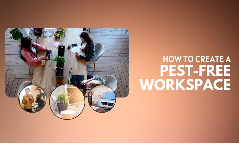 Pest-Free Workspace Kitchener