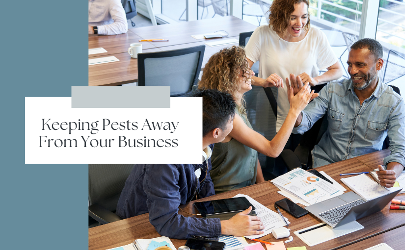 Waterloo Pest Control: Keeping Pests Away From Your Business
