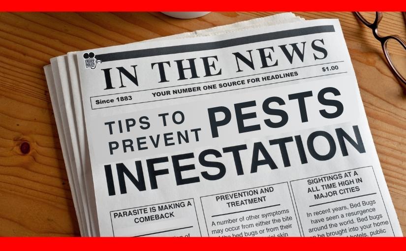 Home Maintenance Tips to Prevent a Pest Infestation in Toronto (2)
