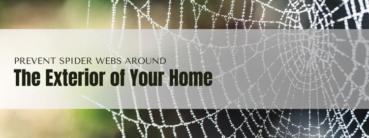 How to Prevent Spider Webs Around The Exterior of Your Home