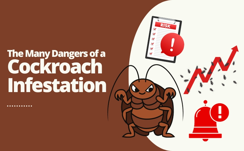 Toronto Pest Control: The Many Dangers of a Cockroach Infestation