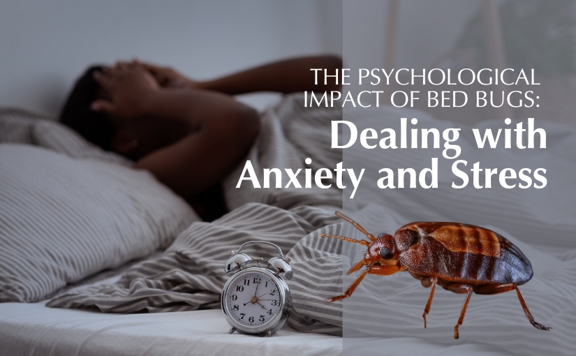 The Psychological Impact of Bed Bugs_ Dealing with Anxiety and Stress