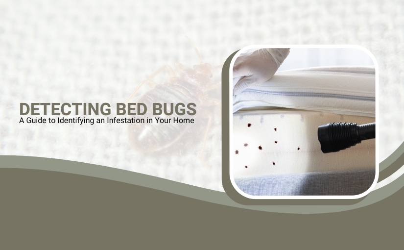 Detecting Bed Bugs