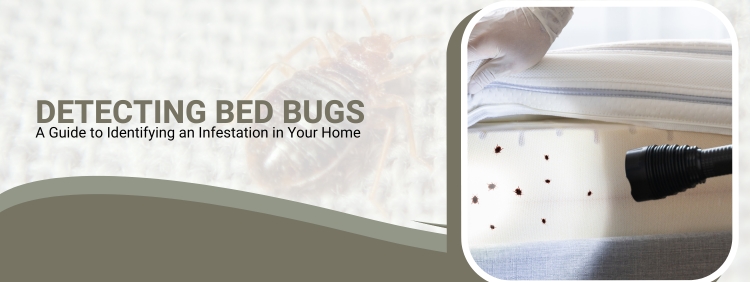 Detecting Bed Bugs