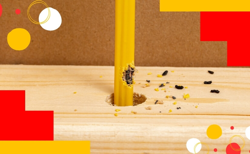 Guelph Rodent Control in Spring_ Effective Strategies and Solutions from Truly Nolen