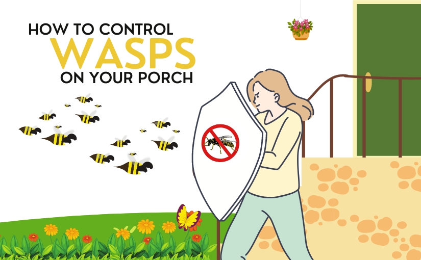 How to control wasps on your porch