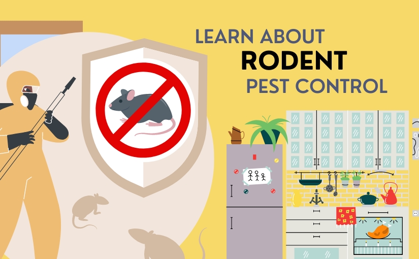 Learn about rodent pest control