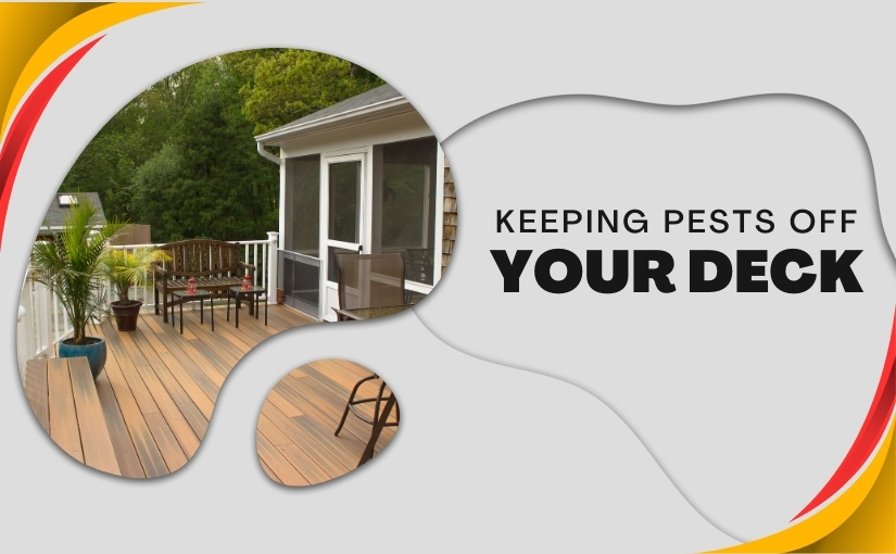 Preserving Your Peace_ Keeping Carpenter Ants and Other Pests Off Your Deck in Kitchener