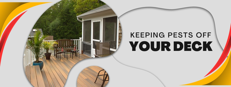 Preserving Your Peace_ Keeping Carpenter Ants and Other Pests Off Your Deck in Kitchener