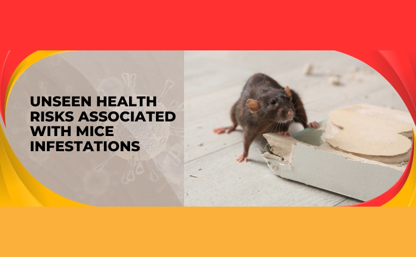 The Unseen Dangers_ How Mice in Your Waterloo Home Can Affect Your Health 1