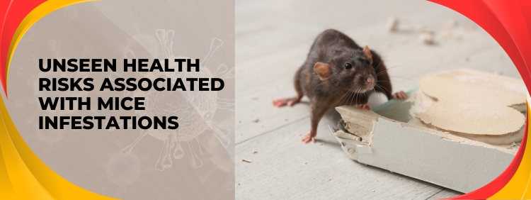 The Unseen Dangers_ How Mice in Your Waterloo Home Can Affect Your Health