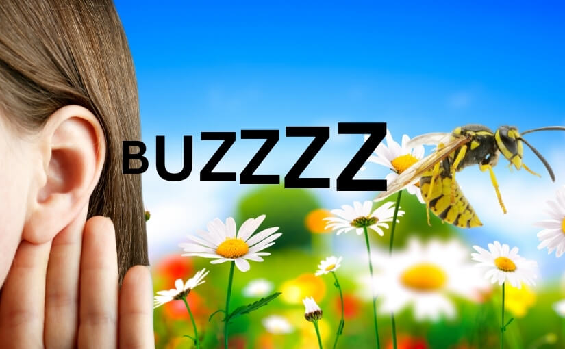 The Buzz About Springtime Wasps_ What to Expect in Burlington