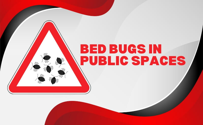 Toronto Pest Control_ Bed Bugs in Public Spaces